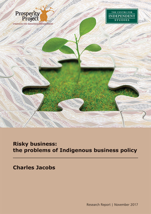 Risky business: the problems of Indigenous business policy