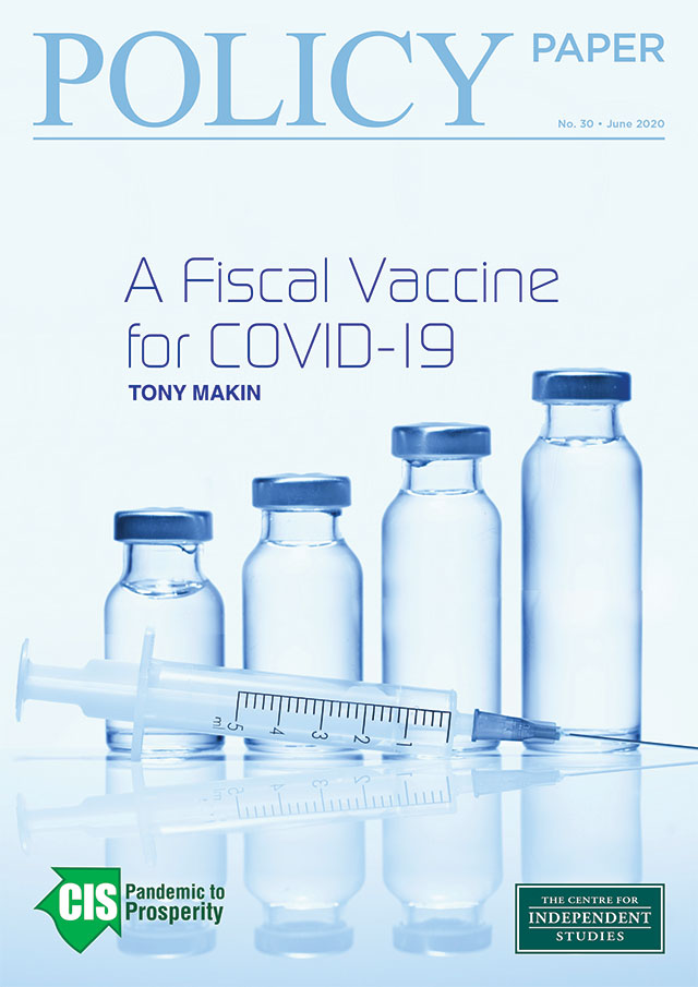A Fiscal Vaccine for COVID-19