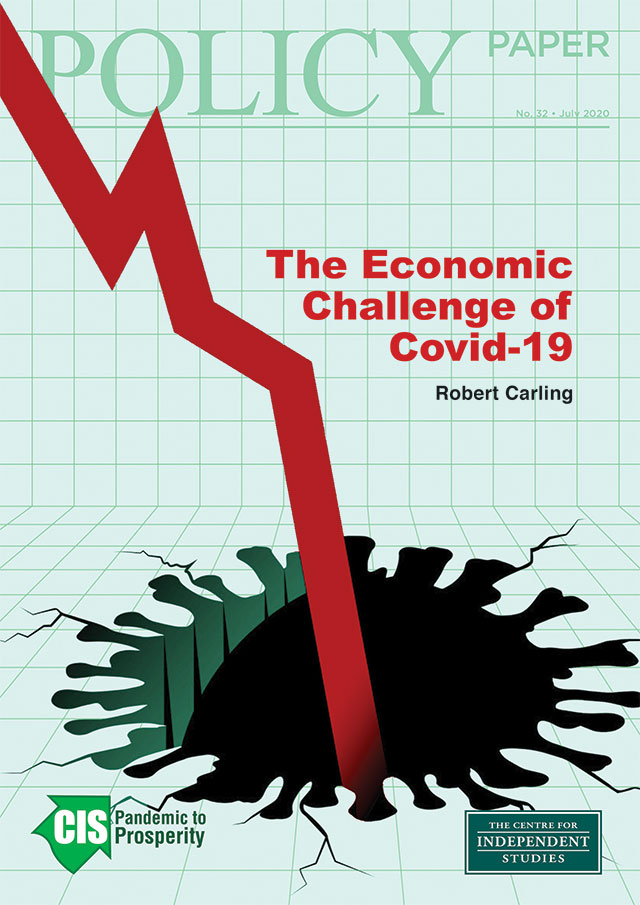 The Economic Challenge of Covid-19