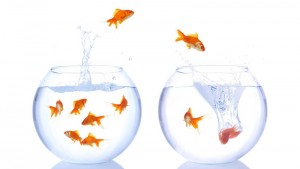 ideas-image-150320-1