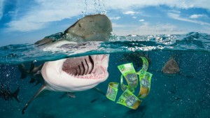 RR12 chapter 4 shark tax monster money