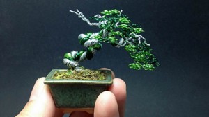 mp bonsai