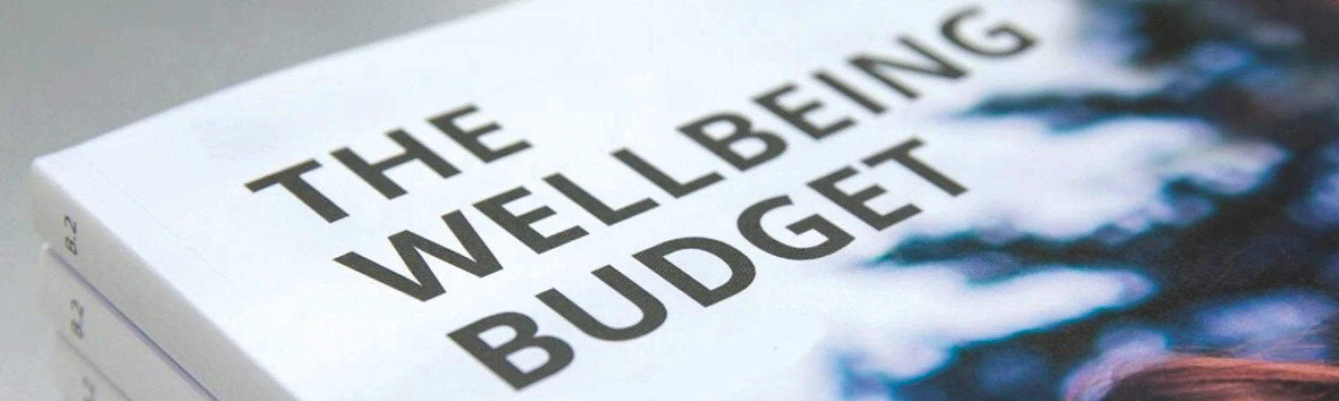 Wellbeing budget