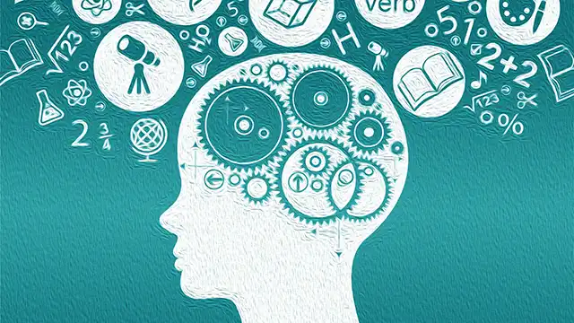 Implementing the Science of Learning: teacher experiences - The Centre ...